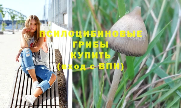 COCAINE Богородицк