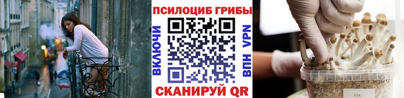 Галлюциногенные грибы Psilocybine cubensis Окуловка